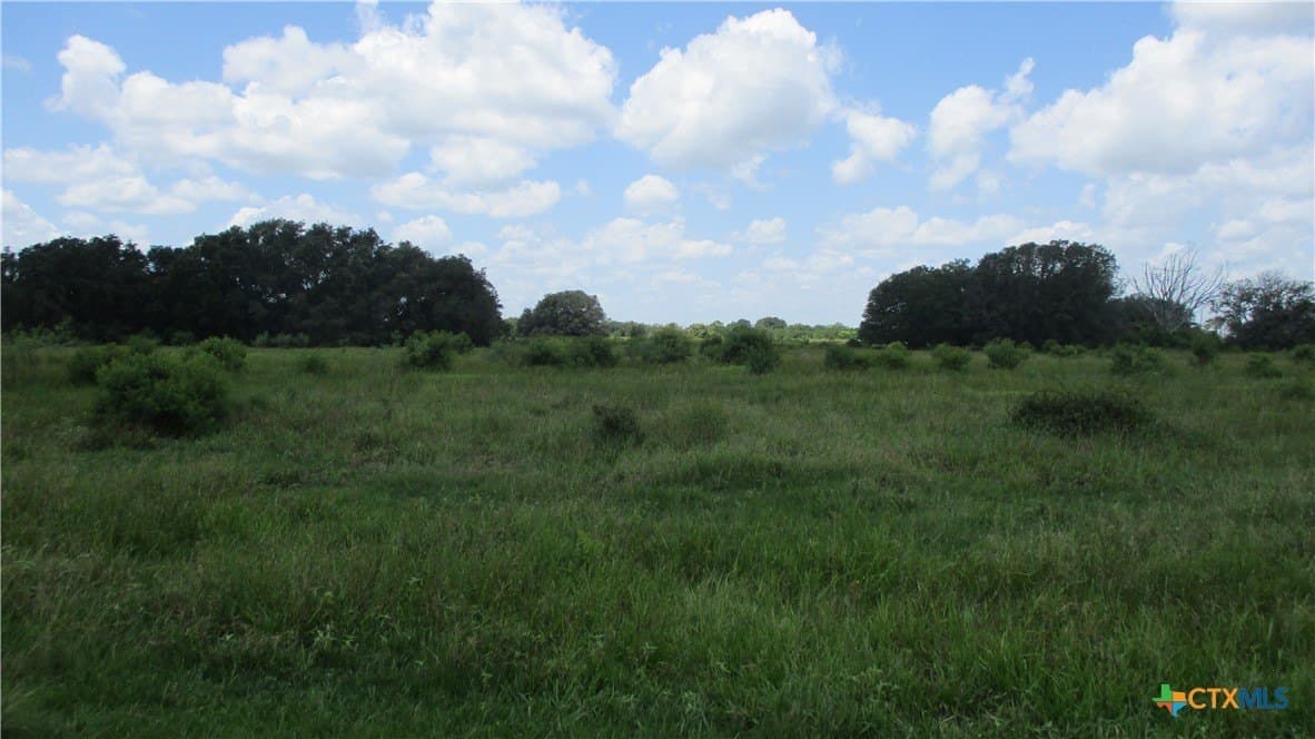 412.21 acres in Brazoria County - photo 18