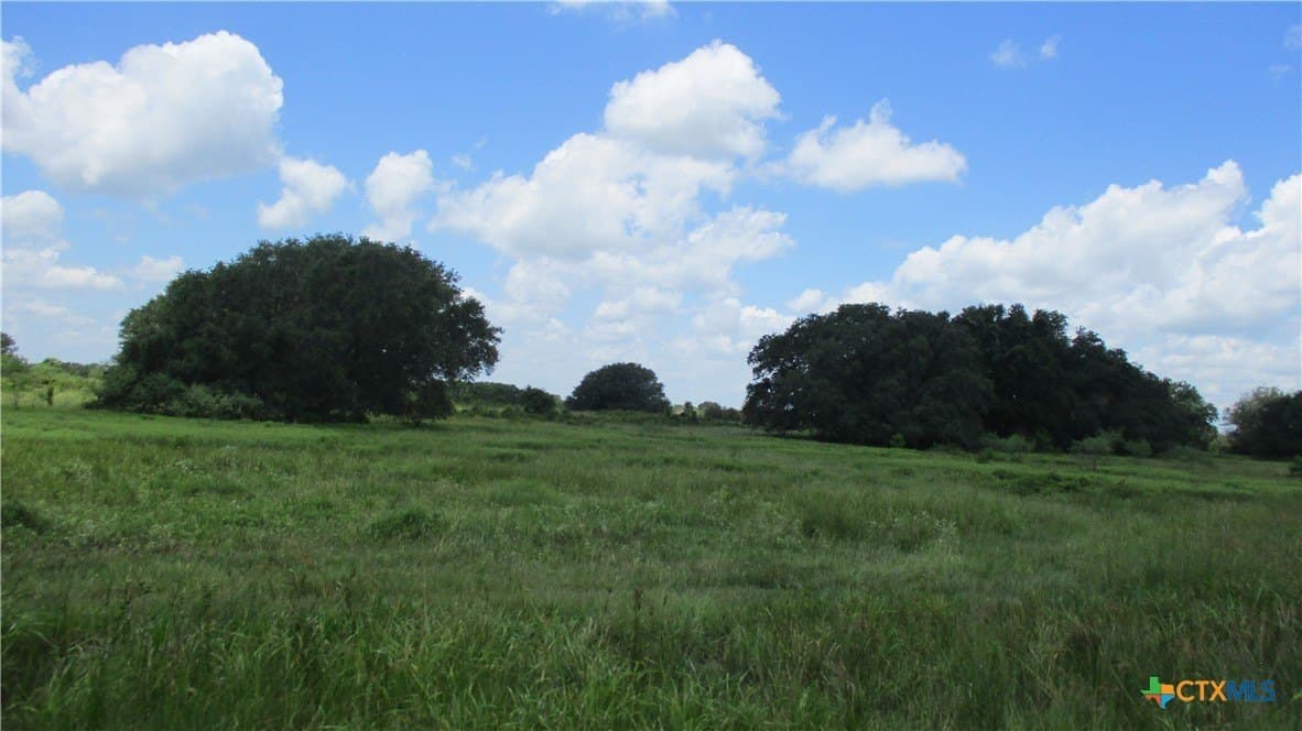 412.21 acres in Brazoria County - photo 19