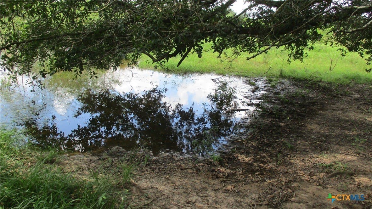 412.21 acres in Brazoria County - photo 13