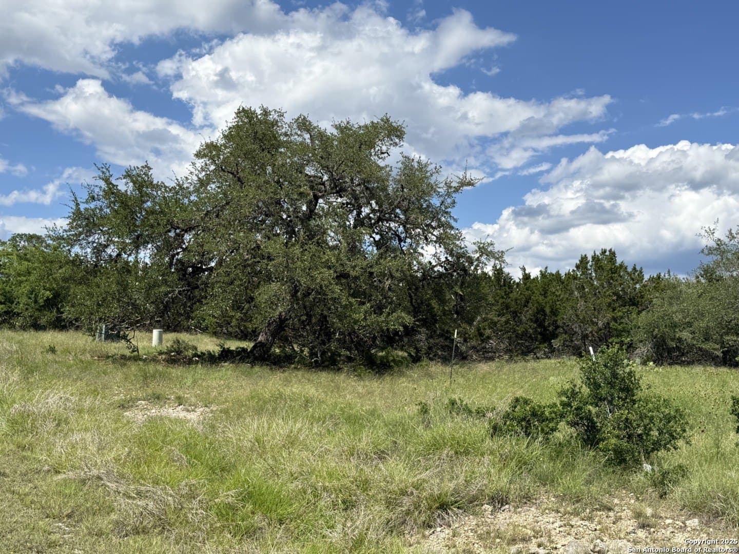 13.7 acres in Kendall County - photo 6