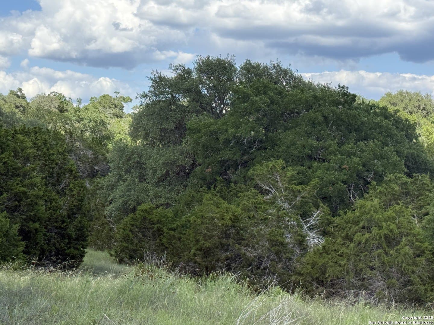 13.7 acres in Kendall County - photo 20
