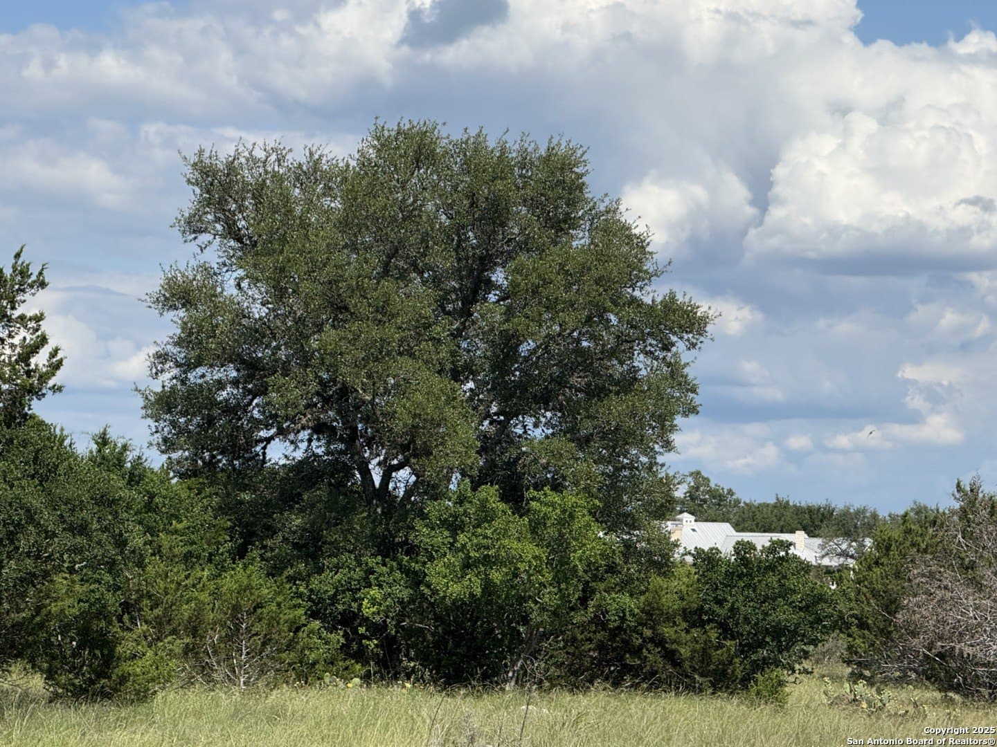 13.7 acres in Kendall County - photo 8