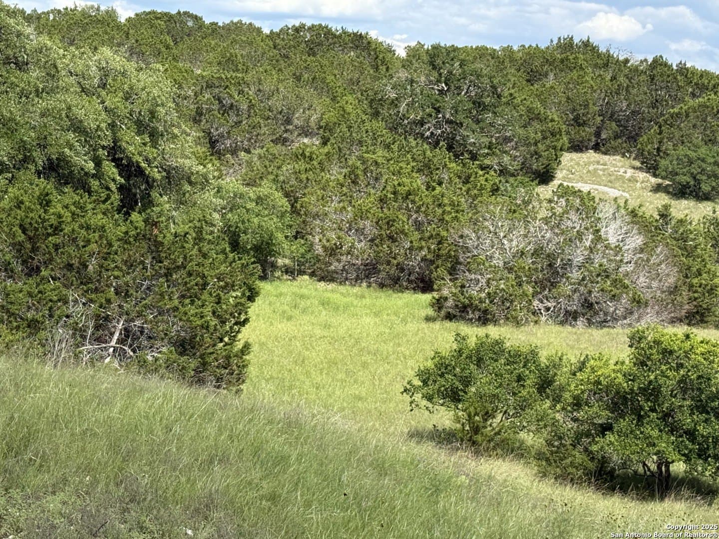 13.7 acres in Kendall County - photo 13