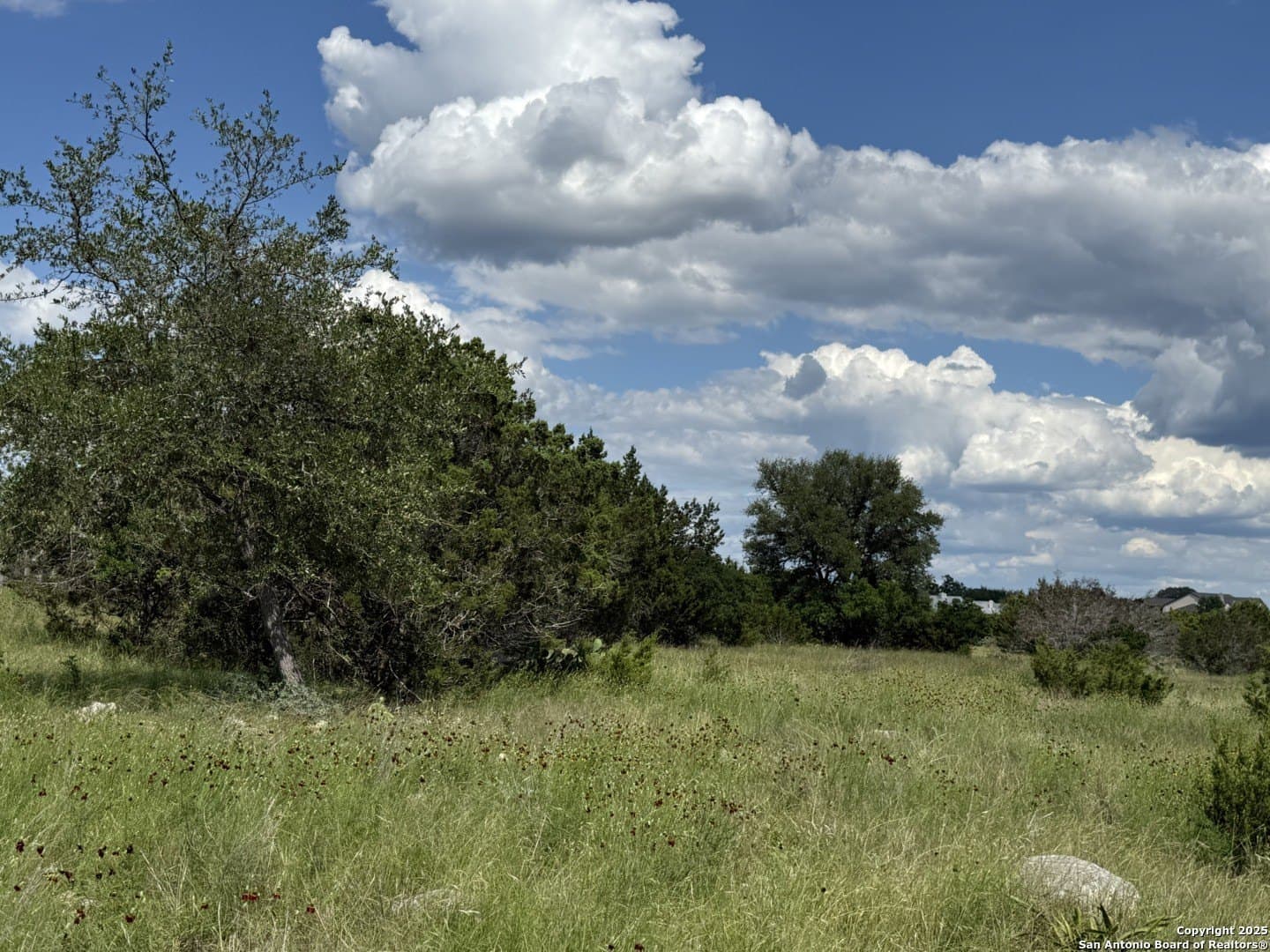 13.7 acres in Kendall County - photo 4