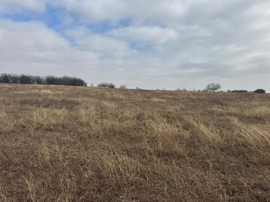 57.27 acres in Wise County - photo 19