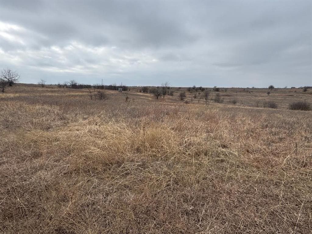 57.27 acres in Wise County - photo 20