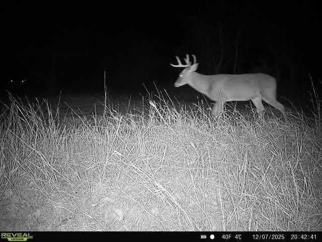 57.27 acres in Wise County - photo 18