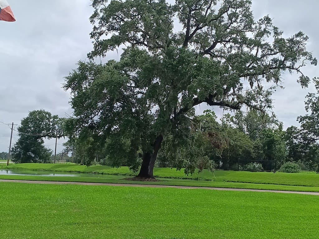 0.91 acres in Texas County - photo 6
