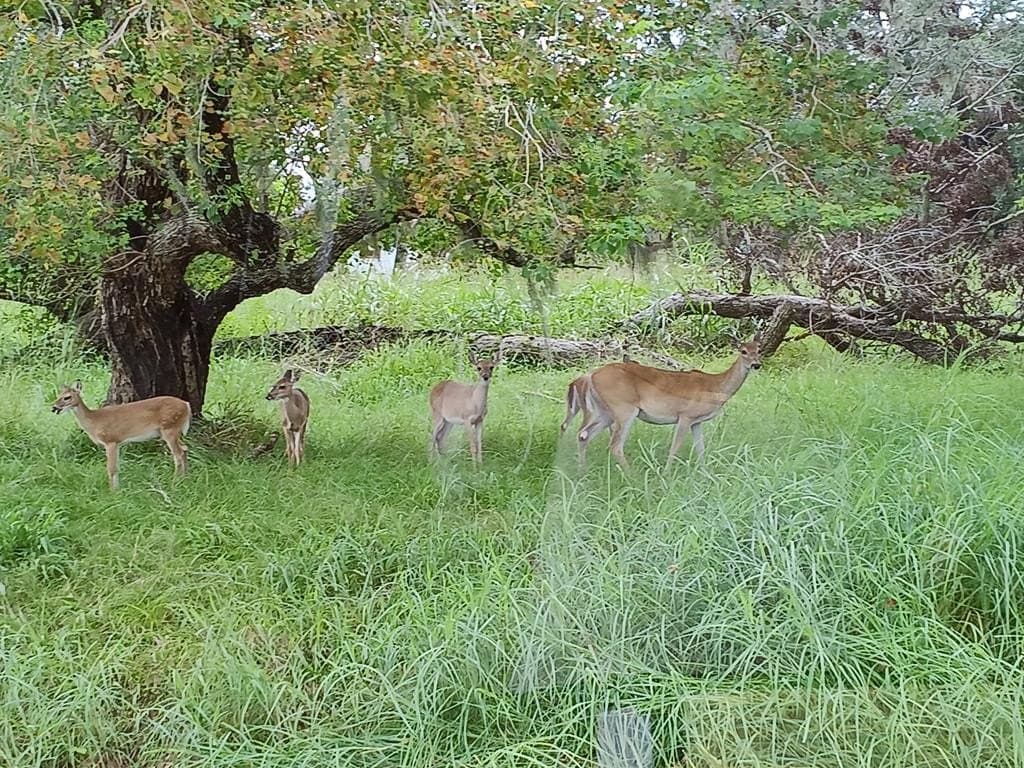 0.91 acres in Texas County - photo 14