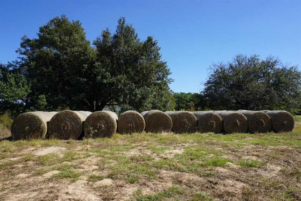 23 acres in Morris County - photo 2