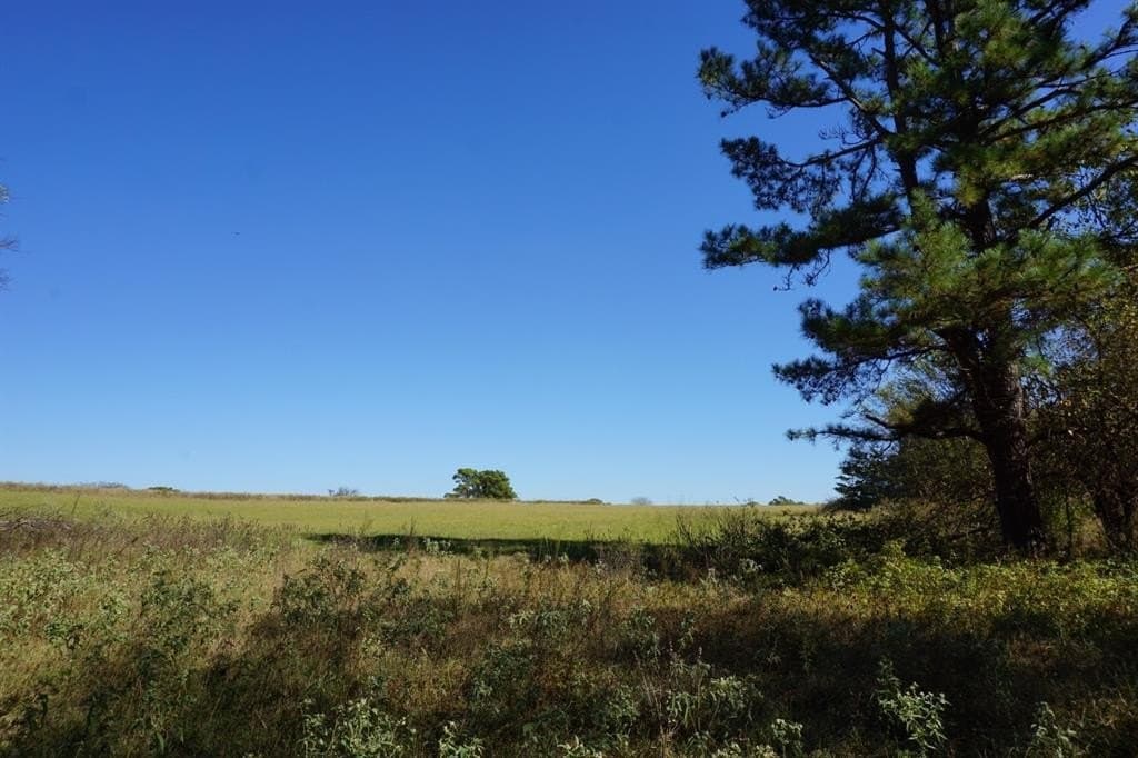 23 acres in Morris County - photo 23