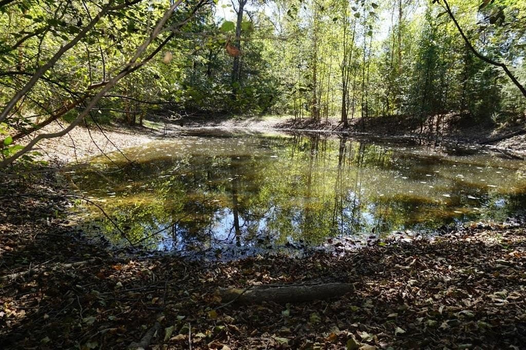 23 acres in Morris County - photo 27