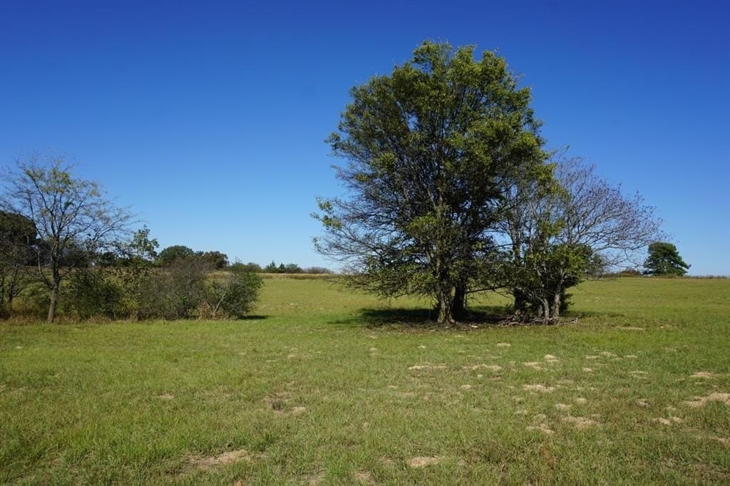 23 acres in Morris County - photo 22