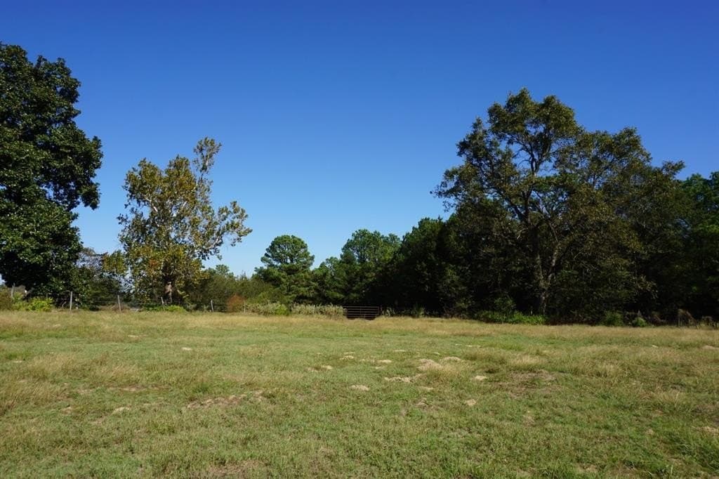 23 acres in Morris County - photo 12