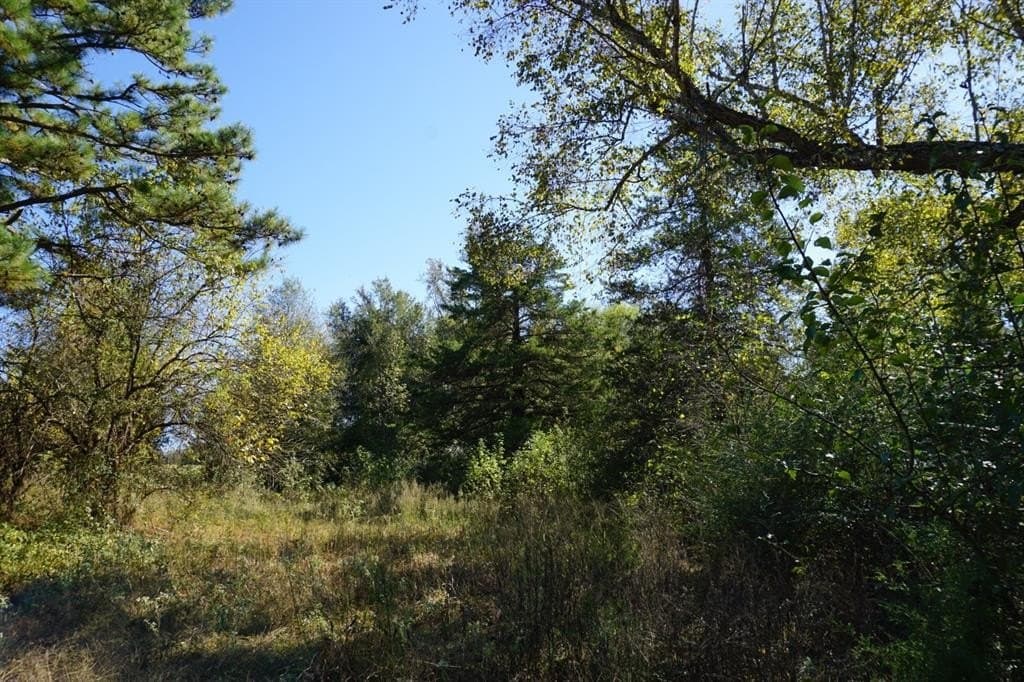 23 acres in Morris County - photo 5