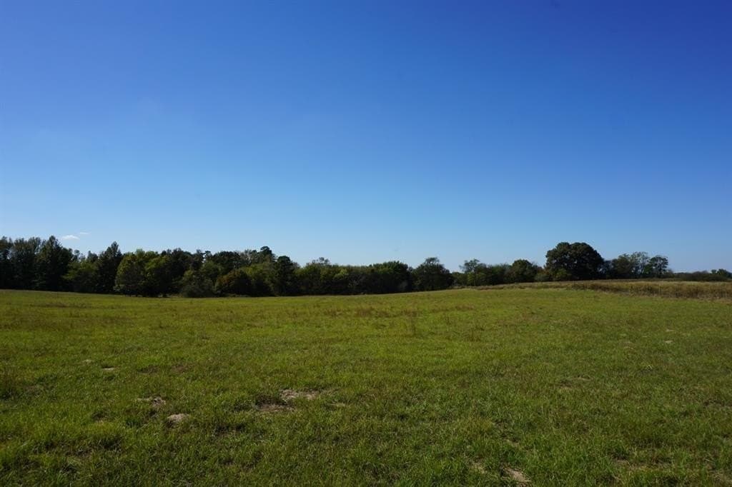 23 acres in Morris County - photo 26