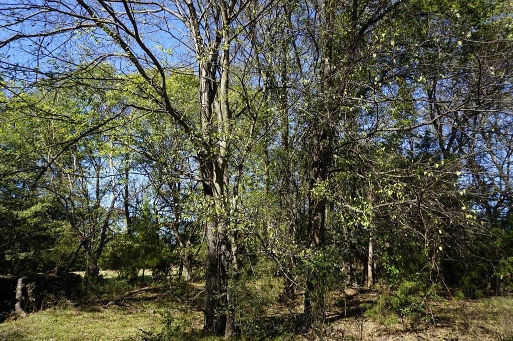 23 acres in Morris County - photo 11