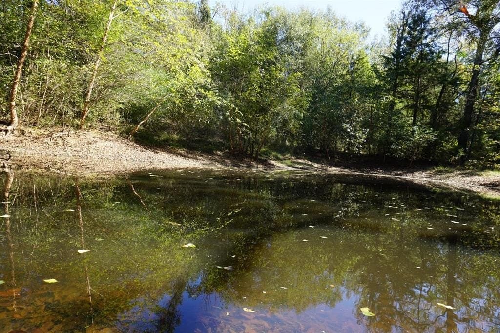23 acres in Morris County - photo 15