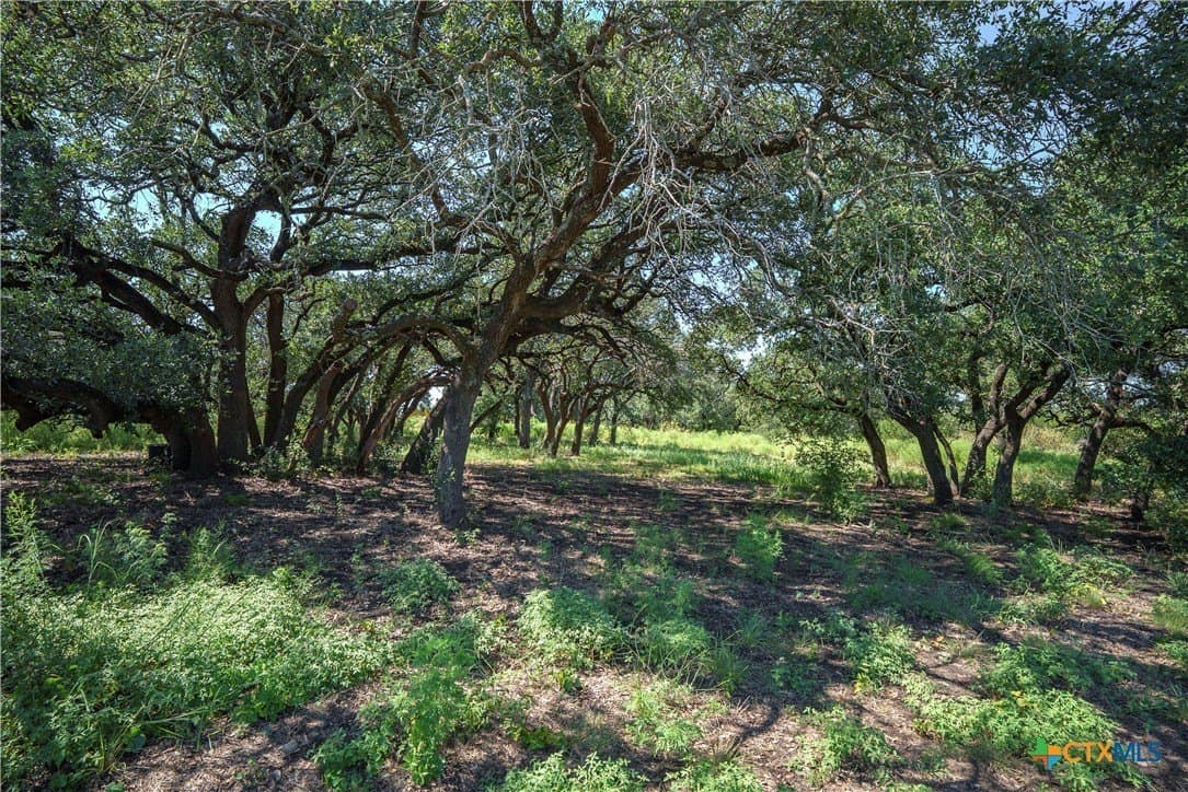 44.14 acres in Coryell County - photo 39