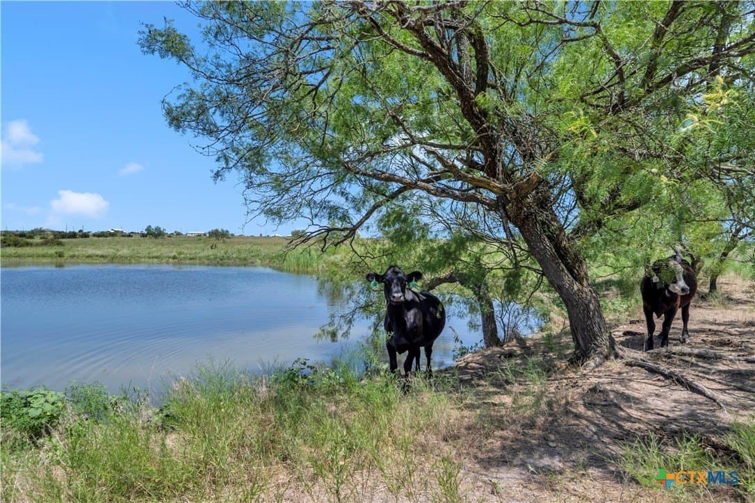 67 acres in Burnet County - photo 3
