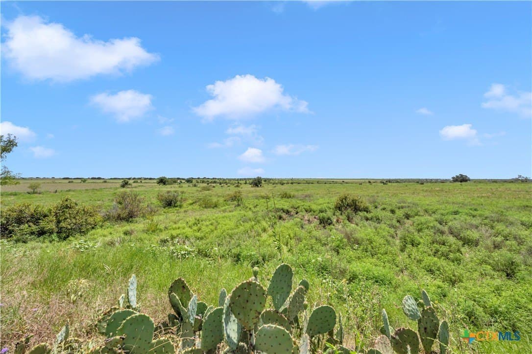 67 acres in Burnet County - photo 8
