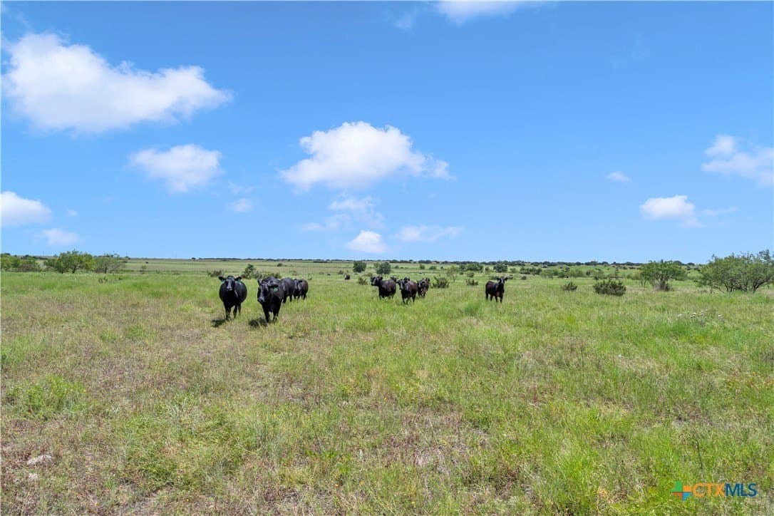 67 acres in Burnet County - photo 23