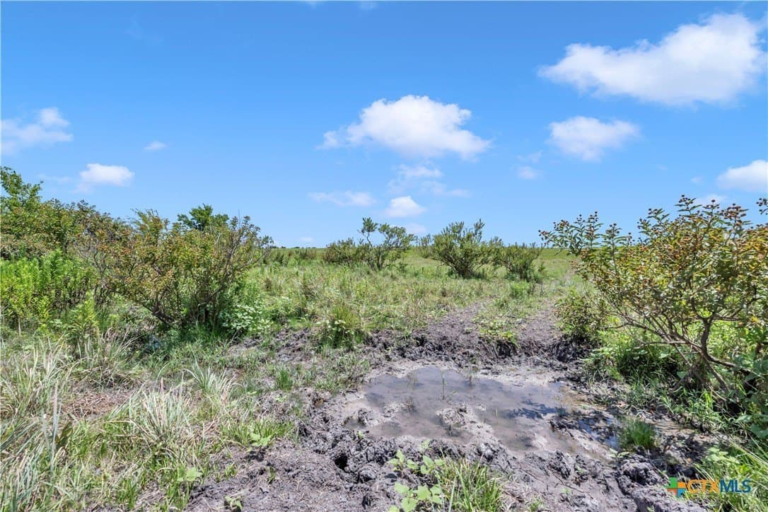 67 acres in Burnet County - photo 25