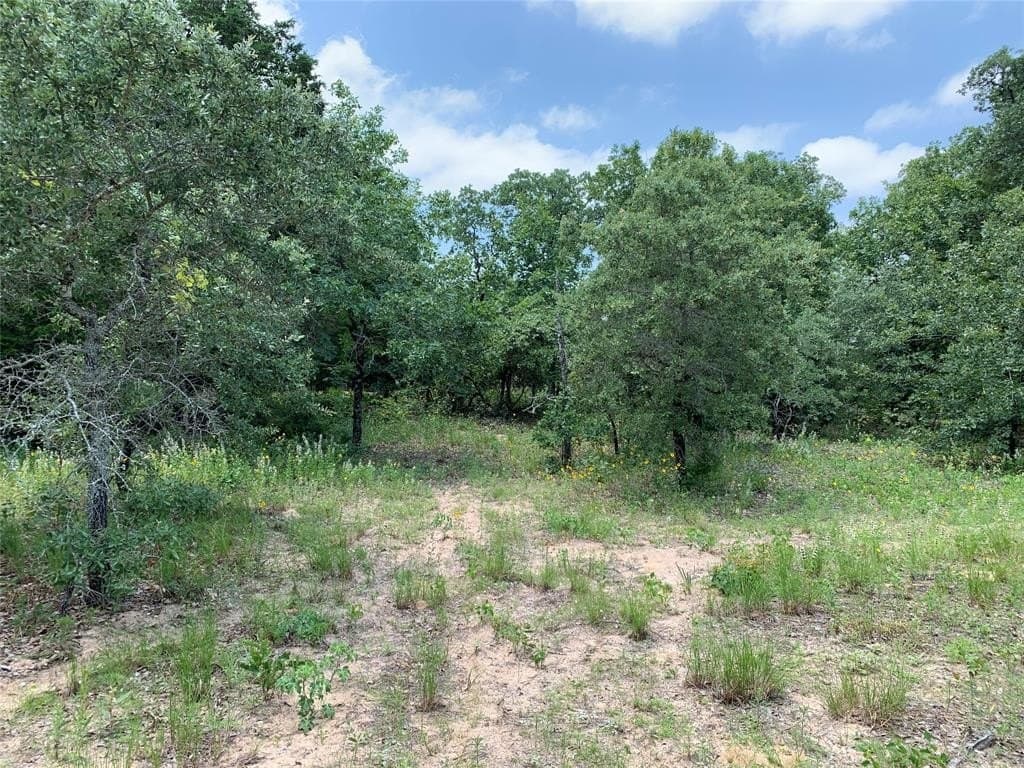 148.72 acres in Henderson County - photo 14