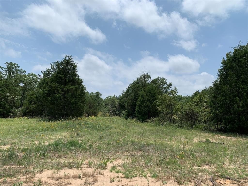 148.72 acres in Henderson County - photo 13