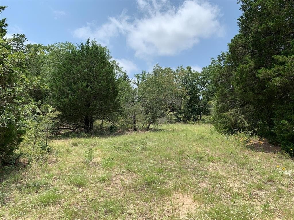 148.72 acres in Henderson County - photo 5