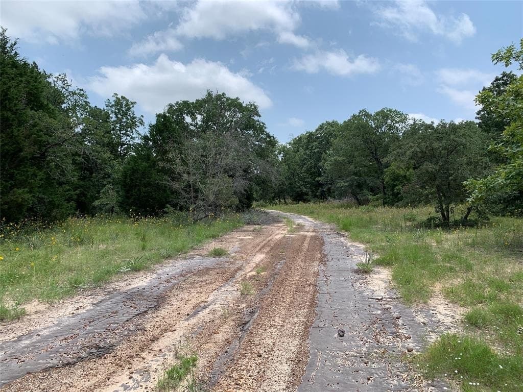 148.72 acres in Henderson County - photo 3