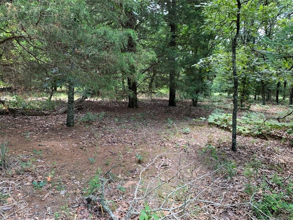 148.72 acres in Henderson County - photo 15
