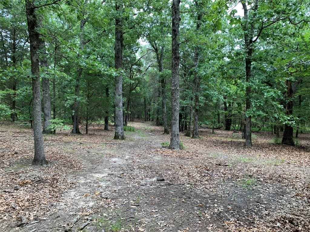 148.72 acres in Henderson County - photo 9