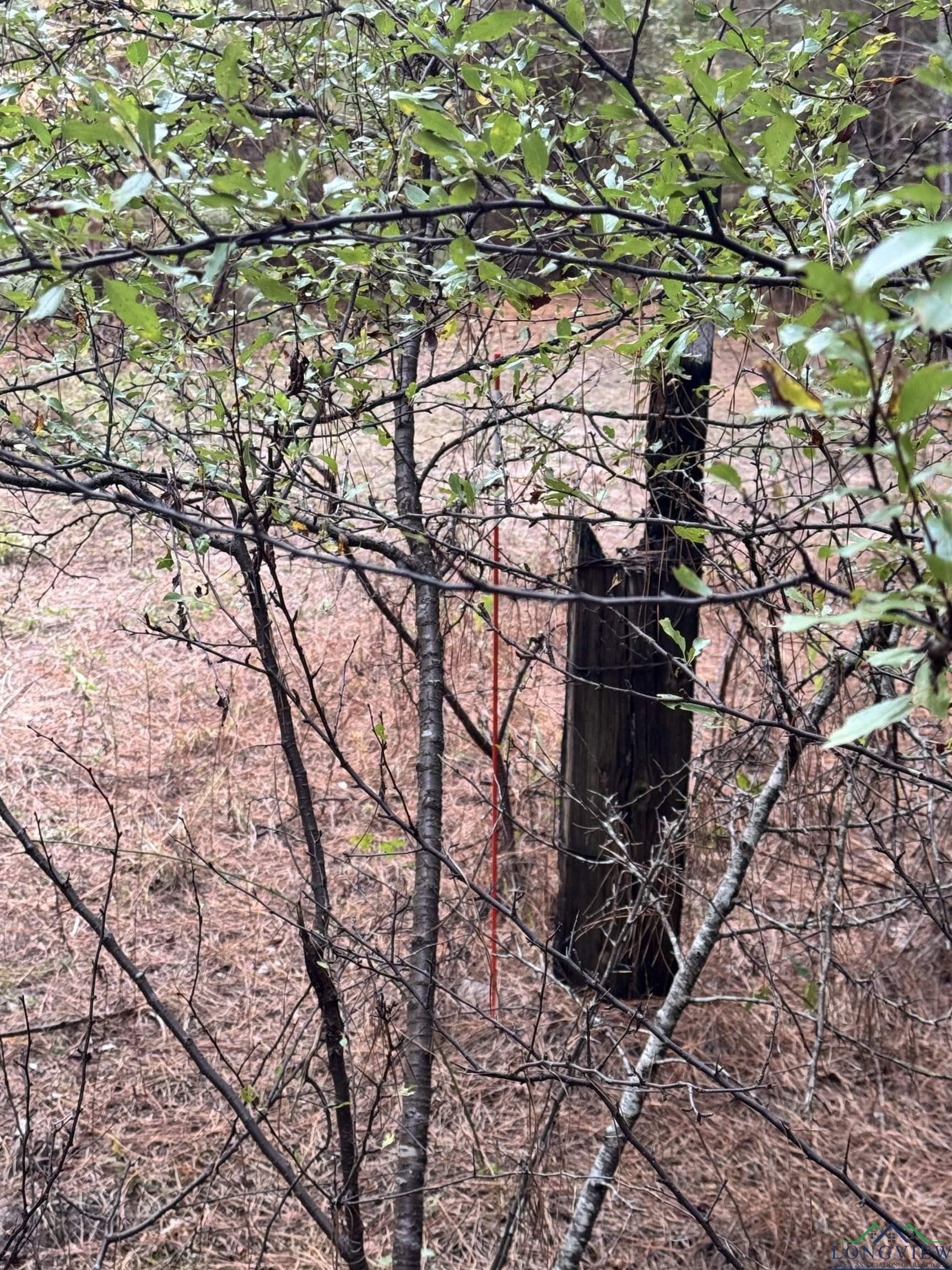 44 acres in Rusk County - photo 16