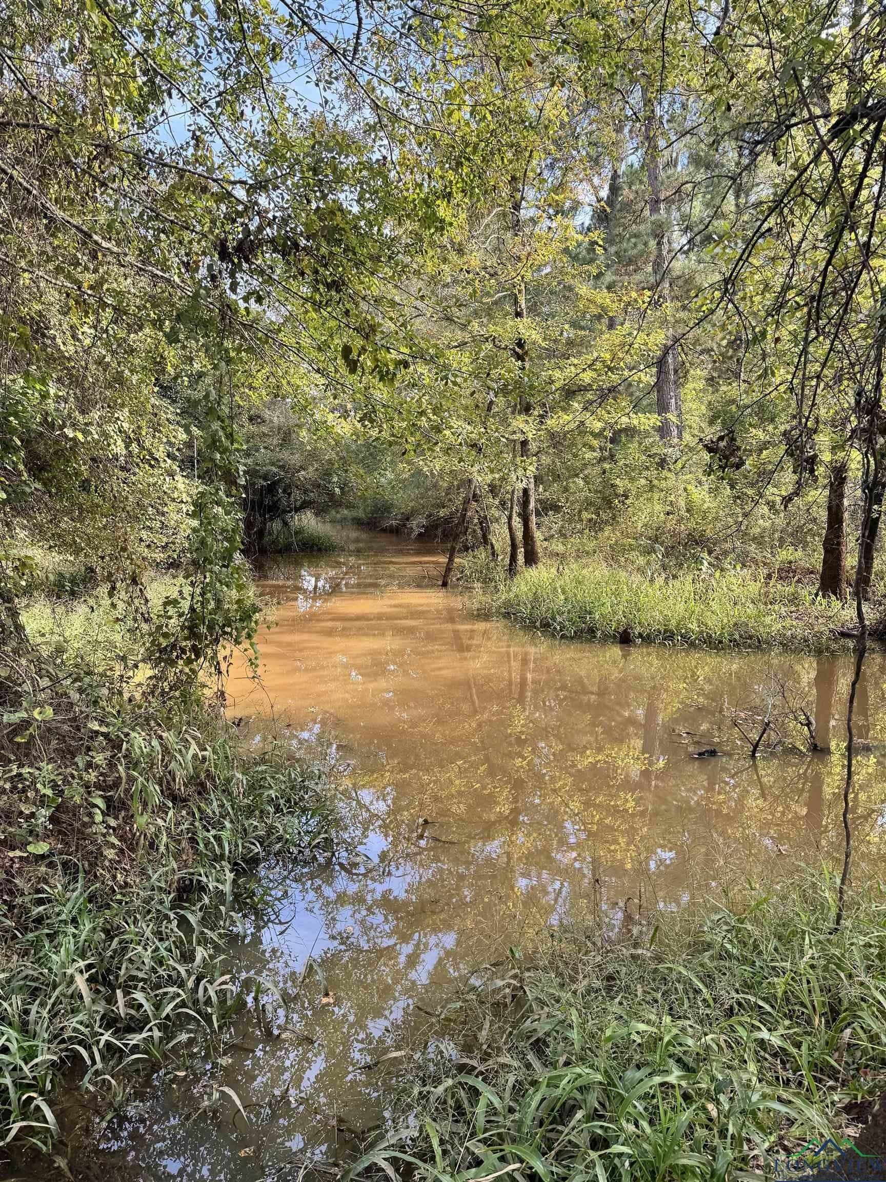 44 acres in Rusk County - photo 7