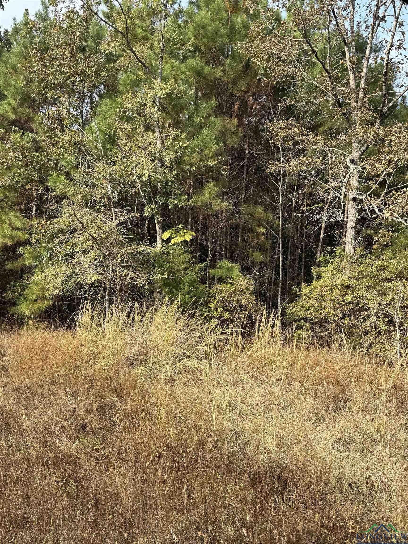 44 acres in Rusk County - photo 5
