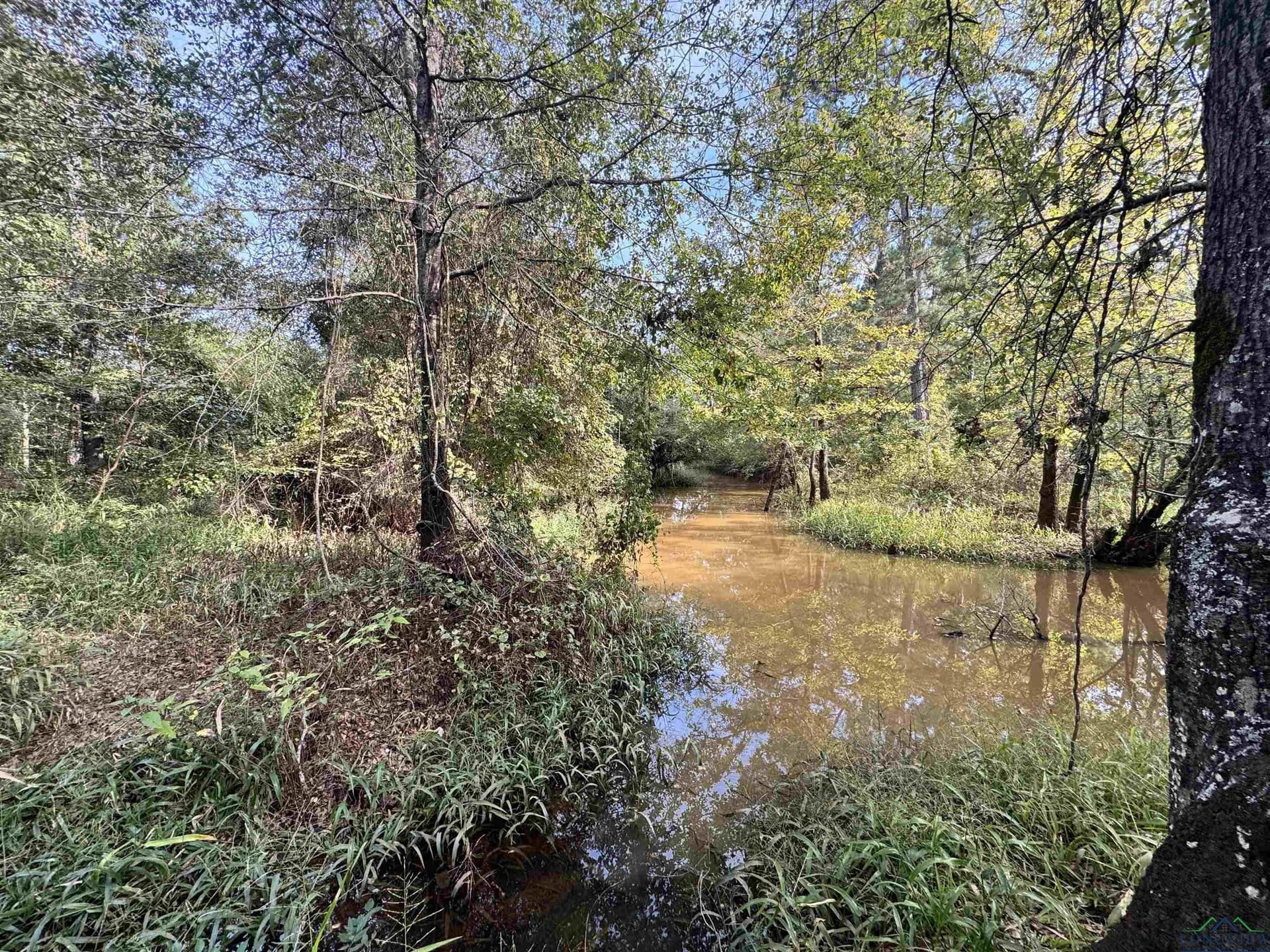 44 acres in Rusk County - photo 8