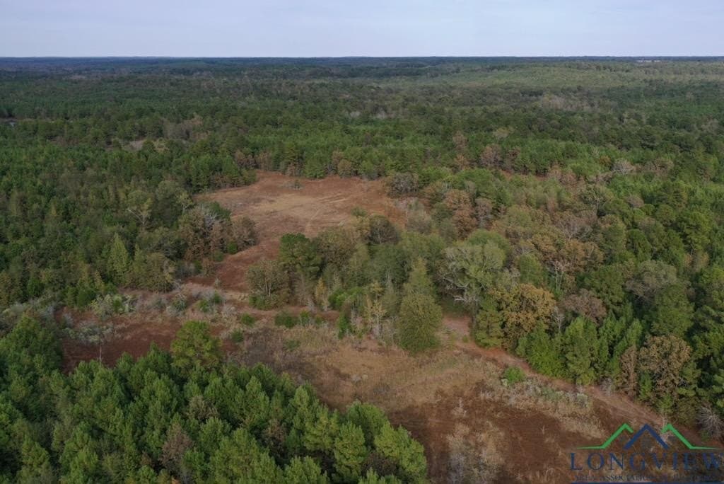 44 acres in Rusk County - photo 12