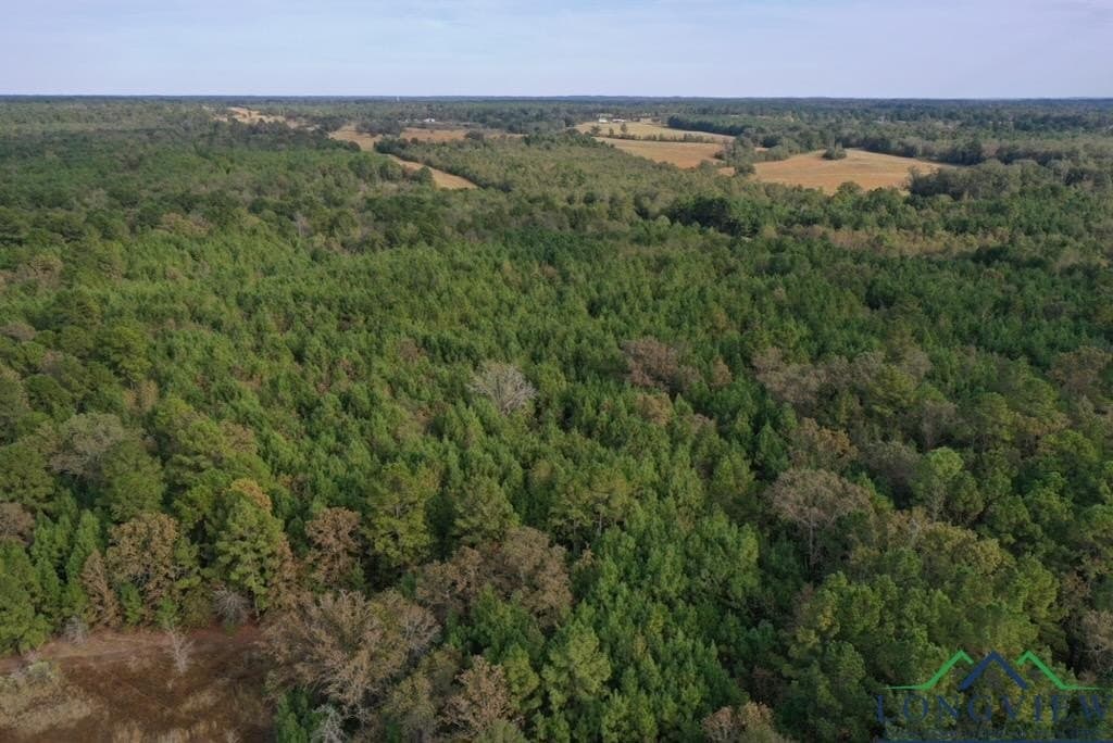 44 acres in Rusk County - photo 13