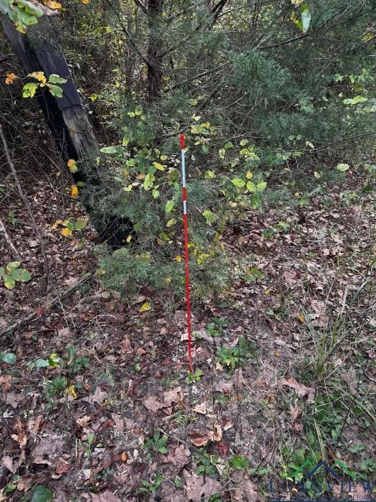 44 acres in Rusk County - photo 14