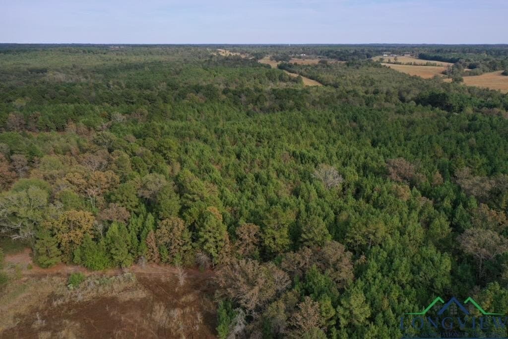 44 acres in Rusk County - photo 11