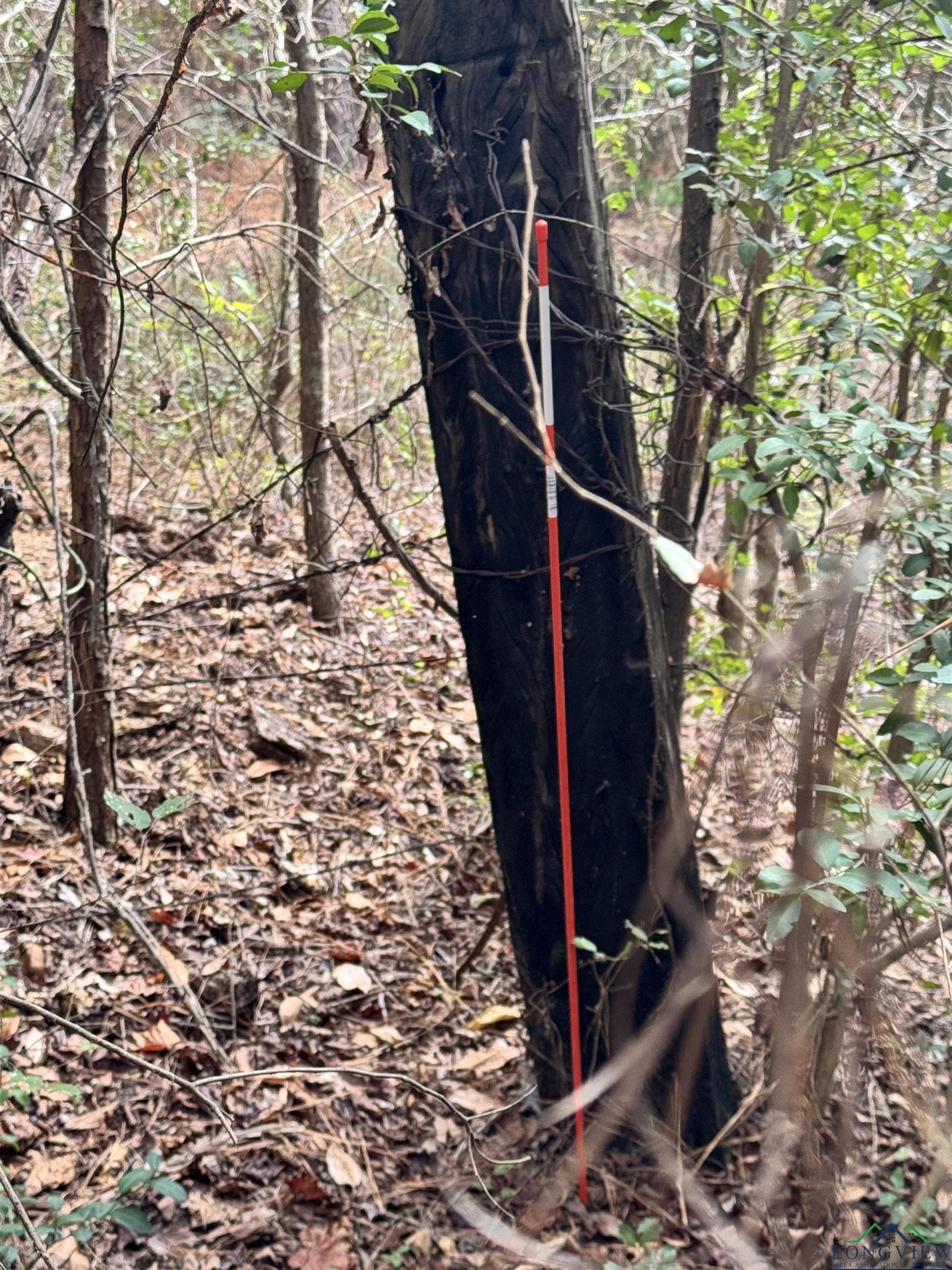 44 acres in Rusk County - photo 15