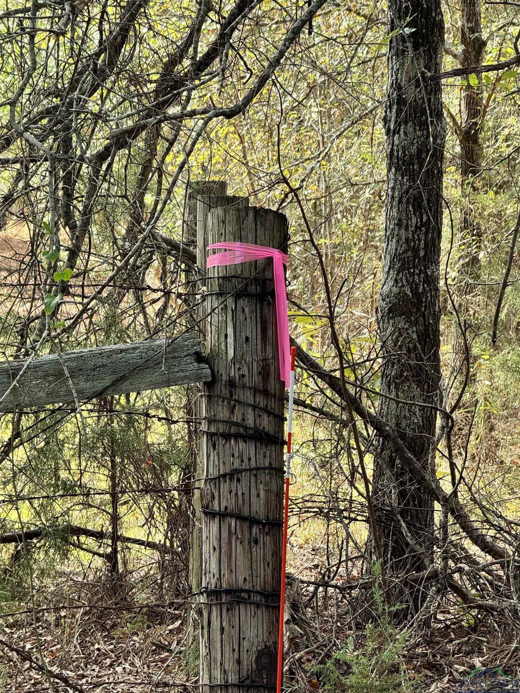44 acres in Rusk County - photo 17