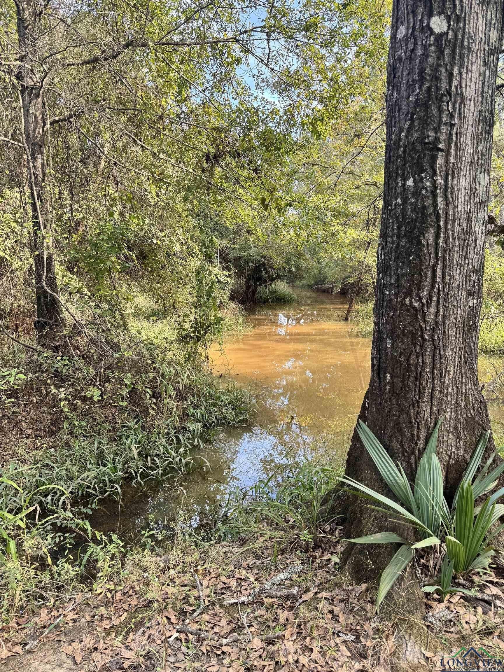44 acres in Rusk County - photo 6