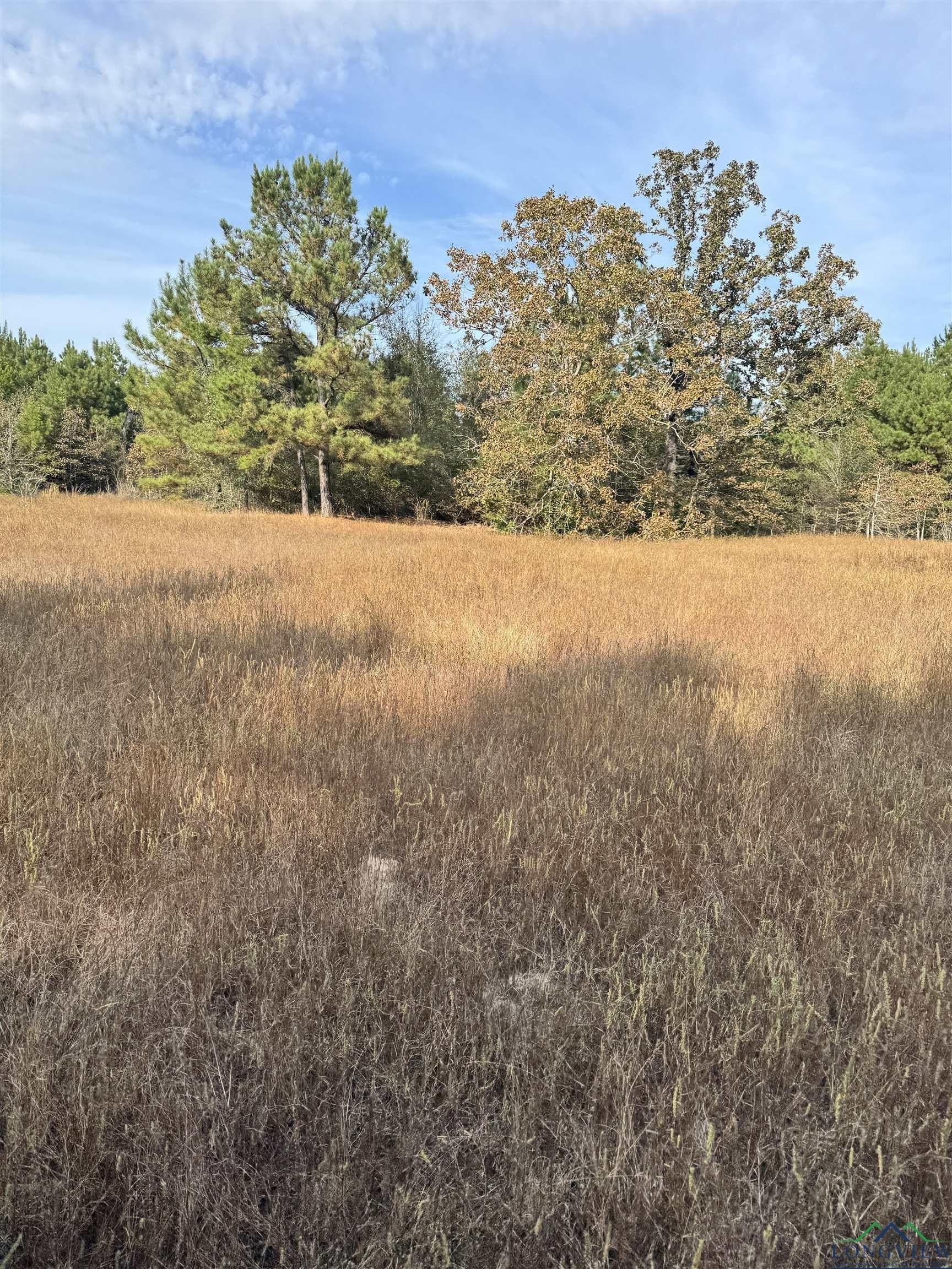44 acres in Rusk County - photo 9