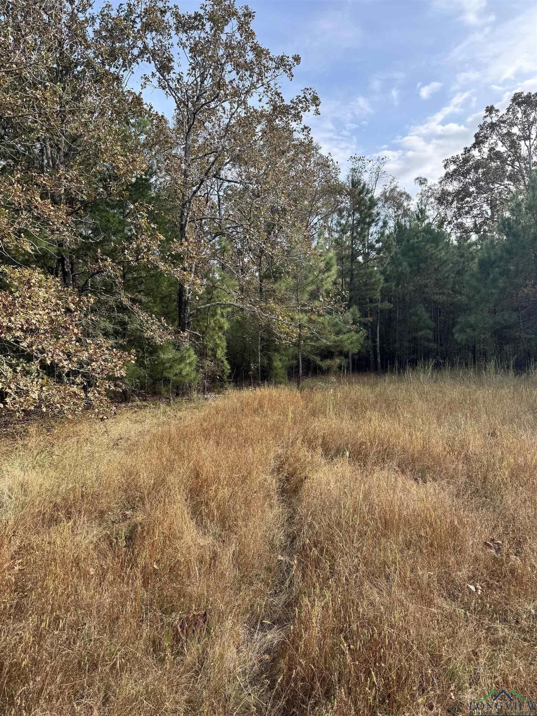 44 acres in Rusk County - photo 4