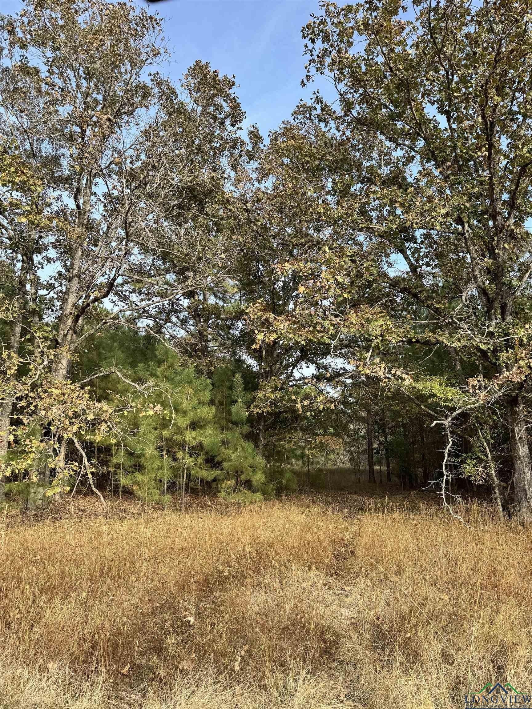 44 acres in Rusk County - photo 3