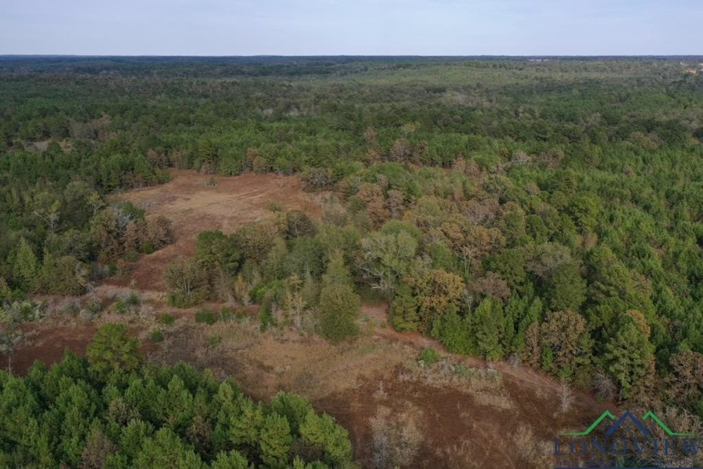 44 acres in Rusk County - photo 10