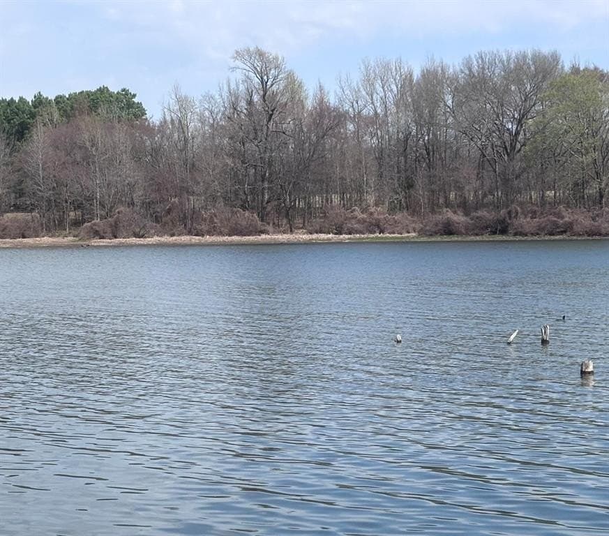 0.52 acres in Wood County - photo 12