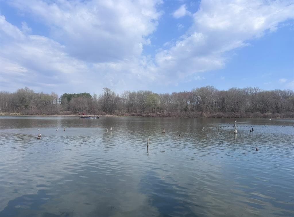 0.52 acres in Wood County - photo 17